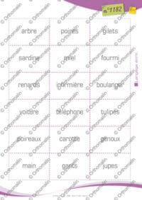 Noms / verbes / adjectifs en familles