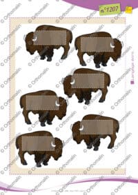 La chasse aux bisons - Temps simples