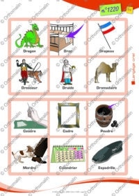 Loto tr/dr