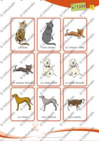 Les animaux en famille