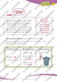 Notions grammaticales de base