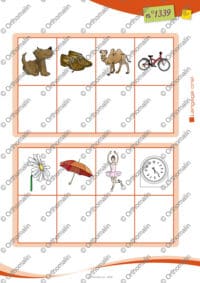 Loto d'articles : de l' / de la / du / des