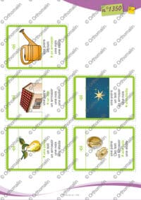 Jeu de familles des voyelles complexes à deux graphies