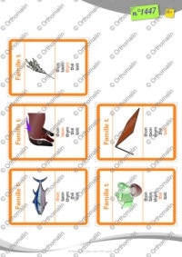 Jeu de familles Sosies labiaux T-d-n-l