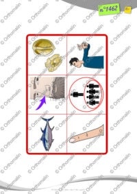 Loto et Sosies labiaux t-d-n-l