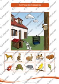 Les grandes familles d'animaux
