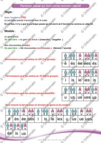 Participe passé qui fonctionne comme adjectif