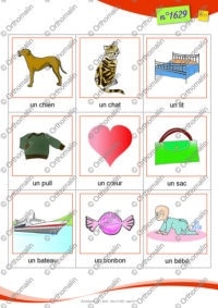 Premiers mots au singulier et au pluriel