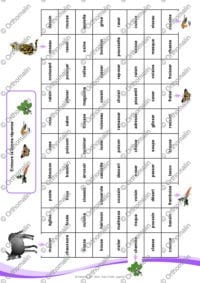 Le parcours du S = Z