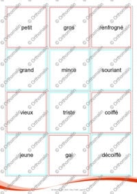 POUILLEUX DES CONTRAIRES n°2 (MOTS)