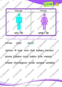 Genre et nombre en couleurs