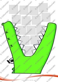 Nourris ton croco !