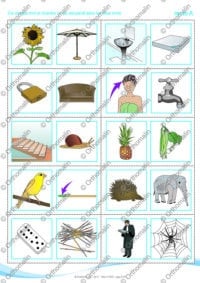 Identification de syllabes identiques ( mots de 3 syllabes)
