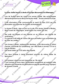 Texte insolite - La brosse à dents