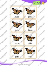 Petites bêtes : papillon P/B