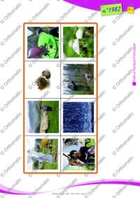 Les saisons - Version photo