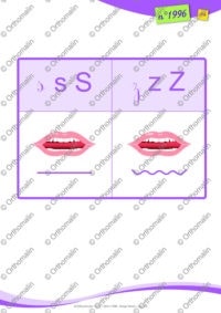 Petites bêtes : sauterelle S/Z