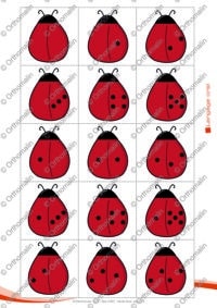 Les coccinelles - N°1