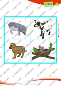 Loto des jeunes animaux - images et photos