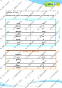 Les syllabes intruses