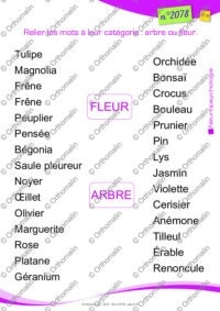 Des fleurs et des arbres
