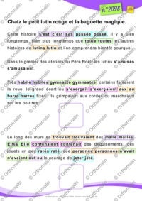 Chatz le lutin rouge et les homonymes