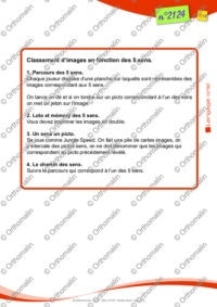 Les 5 sens