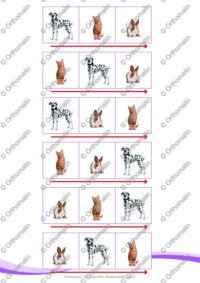 La course aux animaux