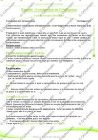 Epreuves piagétiennes - Généralités