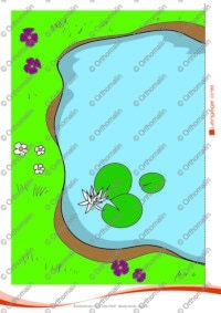 Sauvons nos poissons