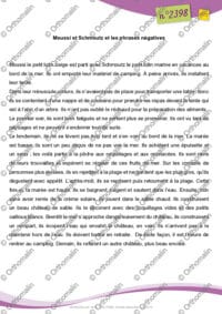 Les lutins et la forme négative