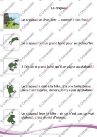 Le crapaud