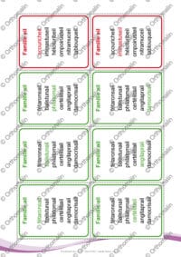 Jeu de familles - Logatomes de Sons complexes - Partie 1