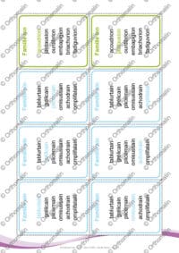 Jeu de familles Logatomes Sons complexes - Partie 2