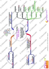 Carte mentale : chercher la fonction d'une phrase