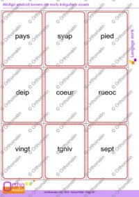 Mistigri endroit/envers de mots irréguliers usuels (noms, adjectifs numéraux, verbes)
