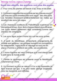 Mémoire, hommes, animaux et plantes