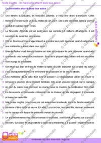 Texte insolite - Une météorite atterrit dans leur salon !
