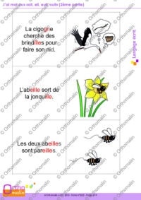 J'ai mal aux "ail, eil, euil, ouil" (2ème partie)