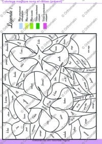 Coloriage magique noms et verbes (présent)