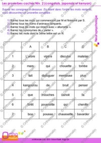 Les proverbes cachés Niveau 2 (congolais, japonais et kenyan)