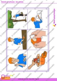 Dessins et phrases : les verbes