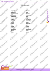 Des mots irréguliers