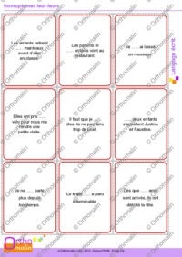 Homophones leurs-leur