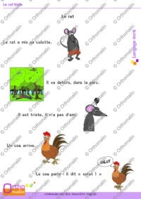 Le rat triste