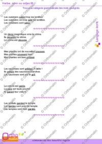 Verbe, nom ou adjectif