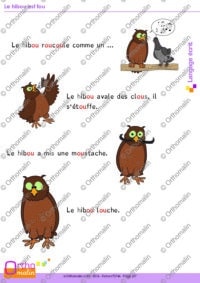 Le hibou est fou