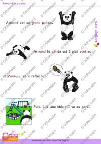 Armand le panda