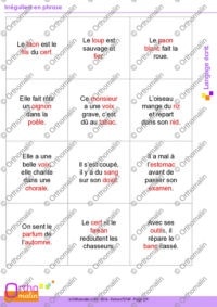 Irréguliers en phrase