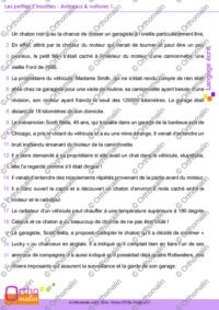 Les petites Z'insolites - Animaux & voitures 1